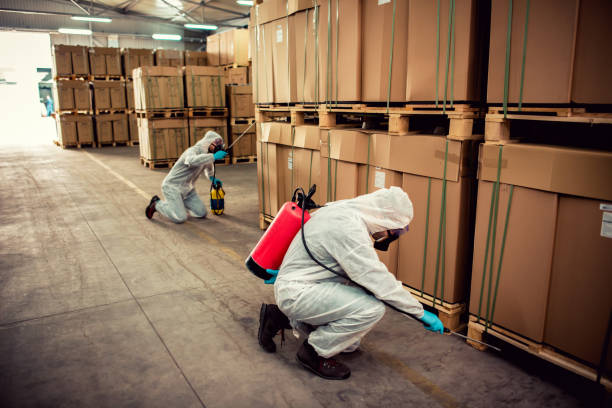 Best Bed Bug Extermination  in Higginsville, MO