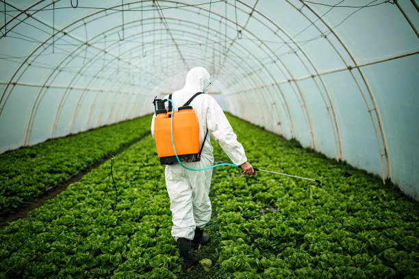Pest Control Cost in Higginsville, MO