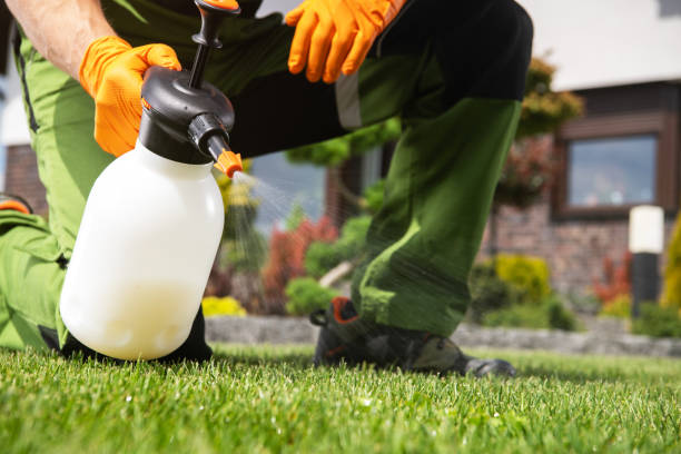 Best Commercial Pest Control Services  in Higginsville, MO