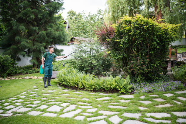 Trusted Higginsville, MO Pest Control Experts