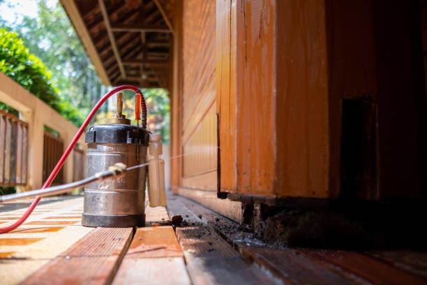Best Termite Control Services  in Higginsville, MO